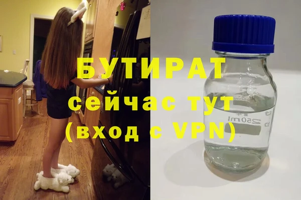индика Володарск