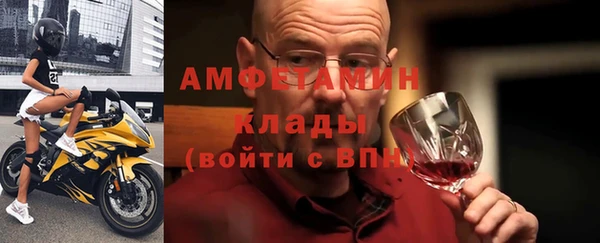 индика Володарск