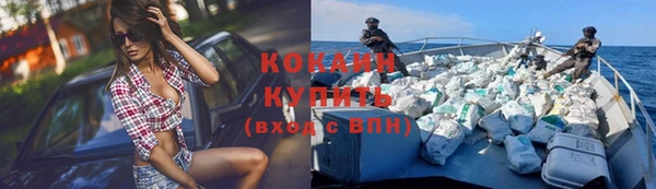 индика Володарск