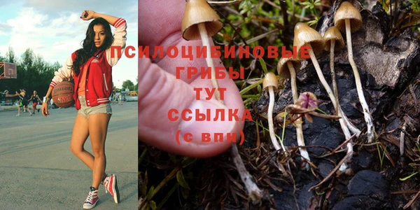 дурь Волоколамск