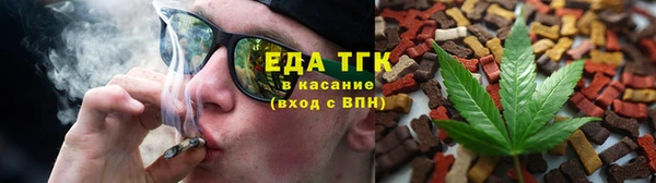 индика Володарск