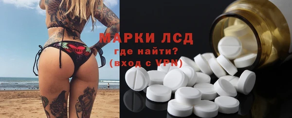 индика Володарск