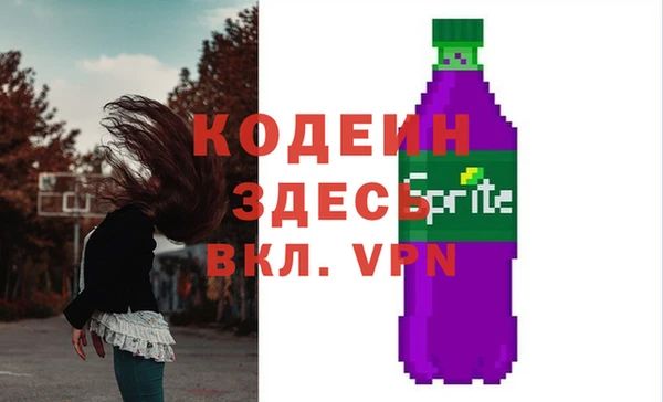 индика Володарск
