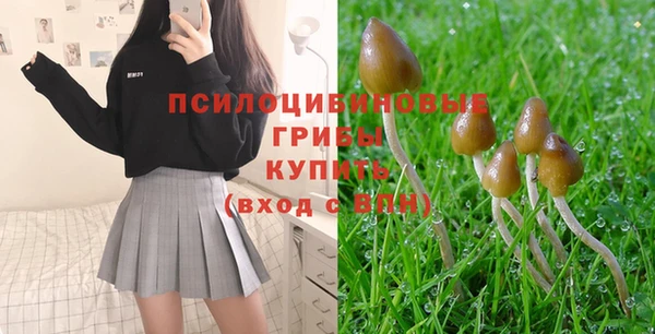 дурь Волоколамск