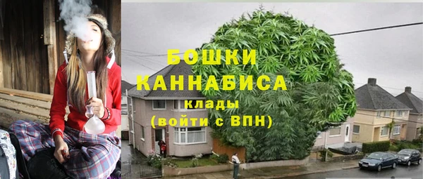 индика Володарск