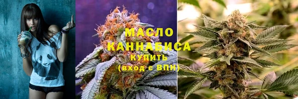индика Володарск