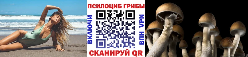Галлюциногенные грибы GOLDEN TEACHER  Купить  Стародуб 